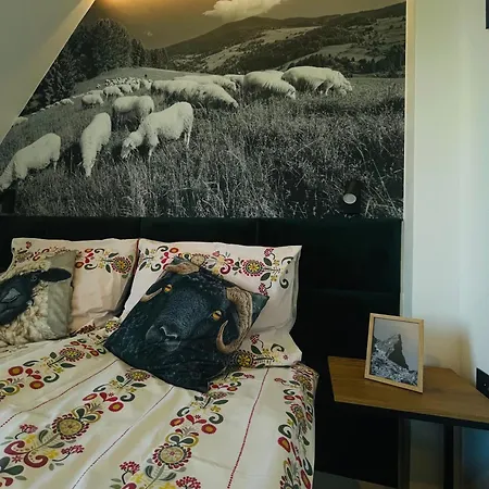 U Jagi Sadelska 119f * Murzasichle