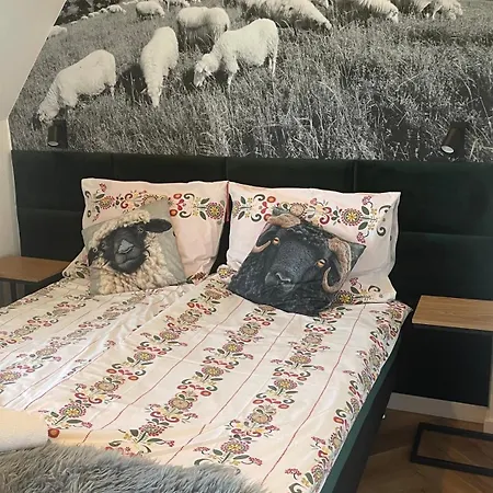 U Jagi Sadelska 119f Apartmán Murzasichle