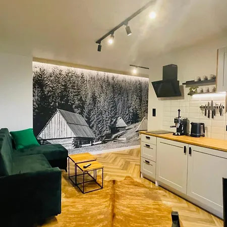 U Jagi Sadelska 119f Apartmán Murzasichle